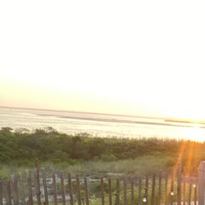 Meet your Posher, Dennis p